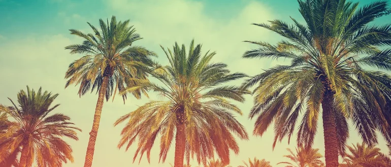 Добро пожаловать в WordPress.